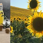 Appartamento Pecorino