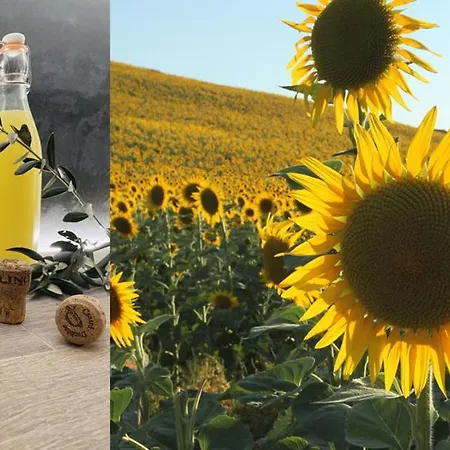 Lägenhet Pecorino